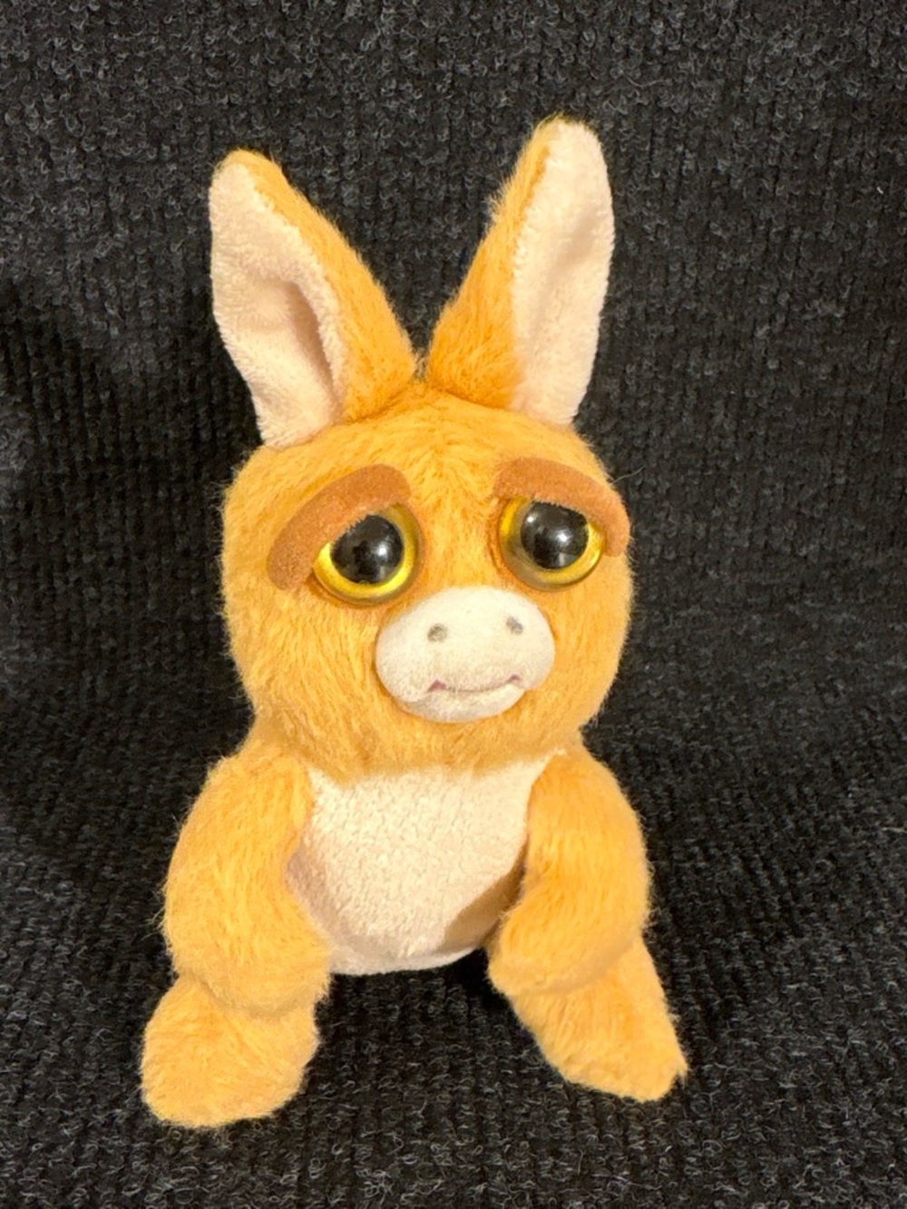 Feisty Pets key ring